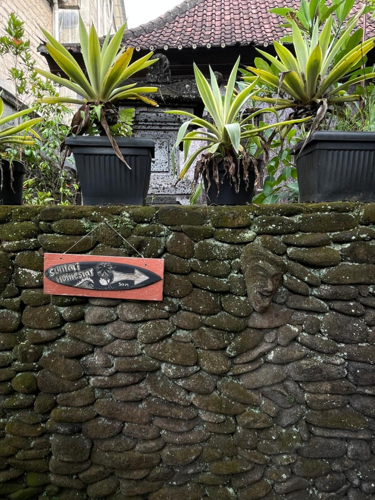 Suntari Homestay Ubud Buitenkant foto